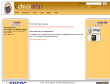 Tablet Screenshot of echickatlas.org